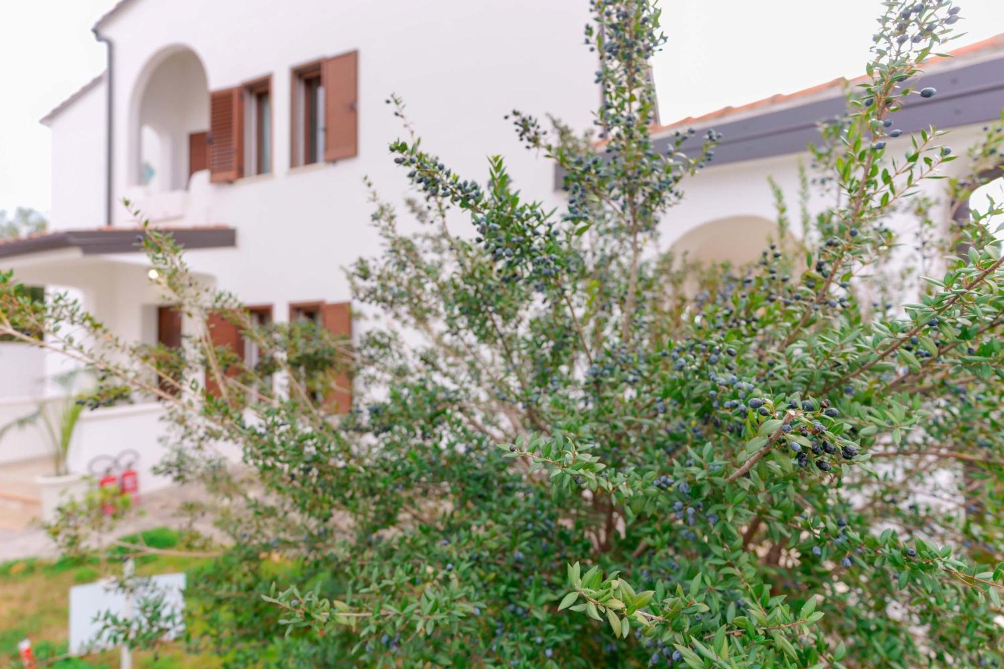 Villa Wunjo Iun R3267 La Maddalena  Bagian luar foto